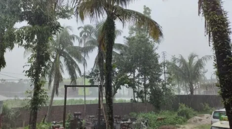 IMD predicts thunderstorms and gusty winds in Meghalaya and Other NE Regions for three days