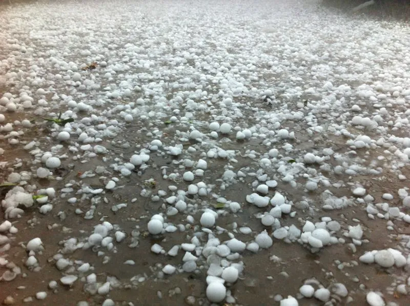 Hailstorm creates havoc along Assam-Meghalaya border, more than 100 families displaced